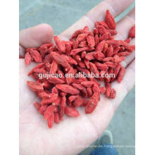 Baya de goji sin procesar de Ningxia / baya goji de la fábrica al por mayor, goji 150/160/280/380/500/580/800/1000